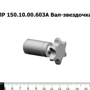 ППР 150.10.00.603А